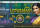 Lotusexchange: Login App & User Info Guide
