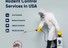 How to Keep Rodents Out of Your Home in USA