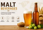 Global Malt Beverages Market: Size, Trends, Growth, and Strategic Insights