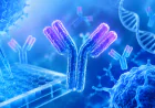 New Cancer Vaccine Sparks Renewed Hope in Immunotherapy