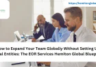 How to Expand Your Team Globally Without Setting Up Local Entities: The EOR Services Hemiton Global Blueprint
