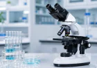 Microscope Maintenance: How to Make One Instrument Last Twenty Years