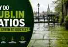 Why Do Dublin Patios Turn Green So Quickly?