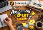 Law Thesis Help Exploring Corporate Law Issues for Your Research Project