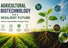 Beyond Yield: How Agricultural Biotechnology Is Building More Resilient Crops