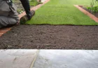 Buffalo Turf Sydney: Tips for Selecting and Installing Turf