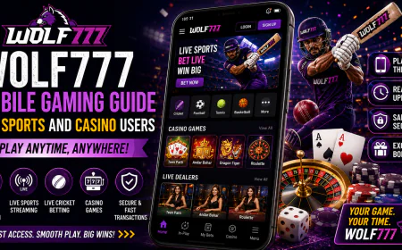 Wolf777 Mobile Gaming Guide for Sports and Casino Users