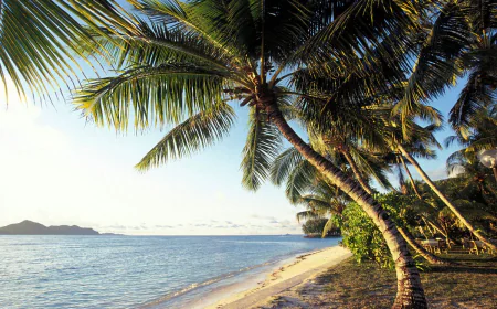 Snorkeling and Diving Spots in Seychelles You Shouldn't Miss