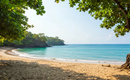 How Can Travelers Explore Costa Rica’s Beautiful Beaches Efficiently