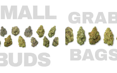 Why THCa Bundles Are the Smarter Way to Explore Hemp