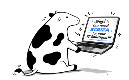 Job Application API: How It Works and What It's Actually Good For