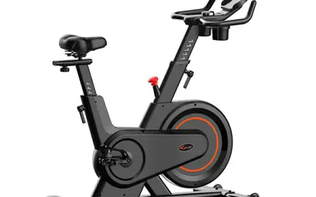 Gym Equipment Price in Bangladesh – Complete Buying Guide for Home & Commercial Fitness