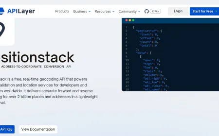 What Is a Reverse Geocoding API and How It Works?