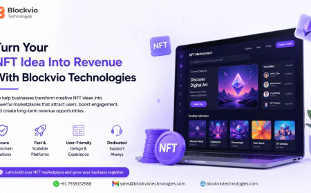 Turn Your NFT Idea Into Revenue With Blockvio Technologies
