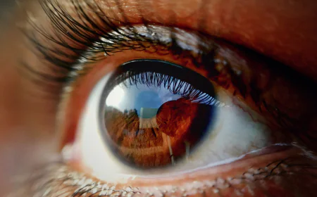 Artificial Retina Market Size, Growth, and Future Trends Analysis