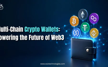 Multi-Chain Crypto Wallets: Powering the Future of Web3