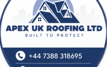 Roof Ventilation Windsor and Insulation Solutions for Lasting Comfort