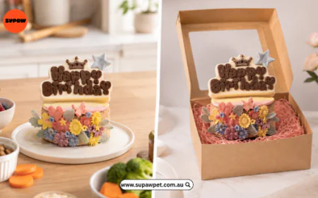 Dog Food Birthday Cake at Home vs a Bakery Order: Weighing Up the Real Difference