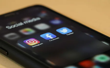 Popular Instagram Growth Platforms for Creators and Brands