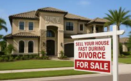 Why Are Distressed Property Owners Choosing We Buy Houses Companies in Pinellas County, FL?