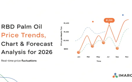 RBD Palm Oil Price Forecast 2026 Shows Stable Global Trend