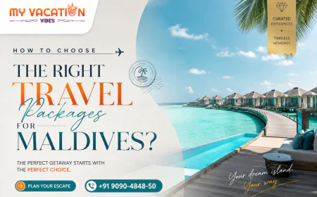 How to Choose the Right Travel Packages for Maldives?