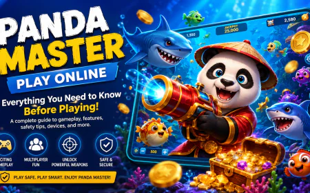 Panda Master Play Online: Everything You Need to Know Before Playing