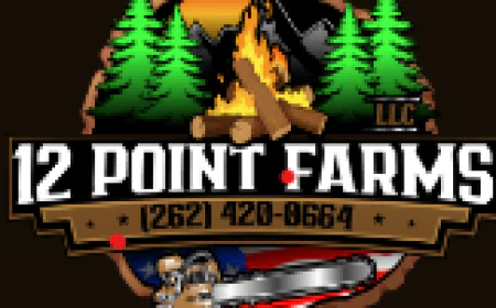 Best Firewood for Campfires Hartford WI