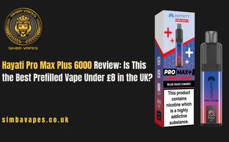 Hayati Pro Max Plus 6000 Review: Is This the Best Prefilled Vape Under £8 in the UK?