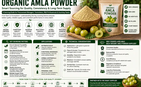 Strategic Sourcing Considerations for Organic Amla Powder in Commercial Manufacturing