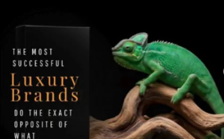 Luxury Brand Advertising Strategy | Luxora Digital Marketing