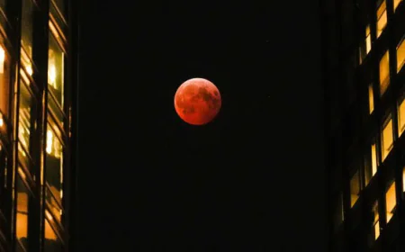 How Will the 2nd Lunar Eclipse of 2026 Affect Your Zodiac Sign?