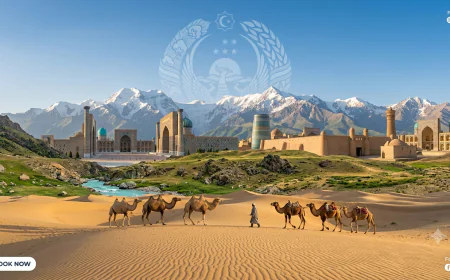Uzbekistan Tour Plan: An Unforgettable Adventure Through the Silk Road