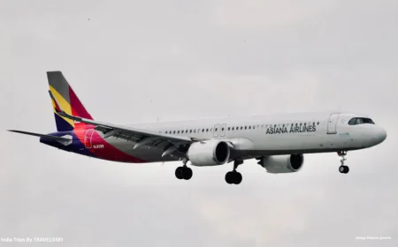 South Korean Flag Carrier: Past and Future