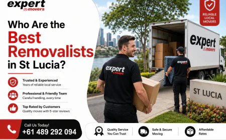 Who Are the Best Removalists in St Lucia?