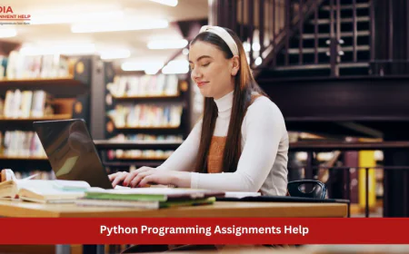 From First Script to Confident Coder: A UK Student’s Guide to Python Programming Assignments Help