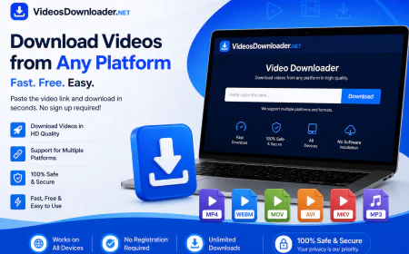 Why an Online Video Downloader Became a Digital Staple