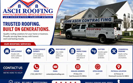How Do You Know When Your Roof Needs Professional Attention?
