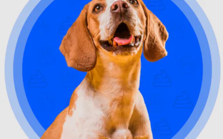 Keep Your Outdoor Space Fresh With a Reliable Dog Poop Yard Cleaner