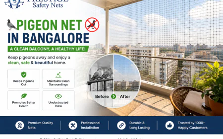 Pigeon Net in Bangalore – Durable Bird Protection Solutions