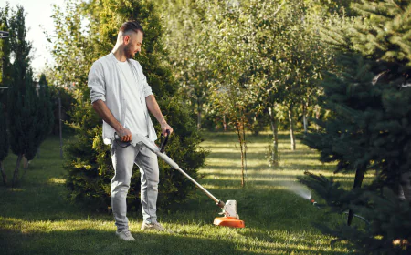 How Often Should You Schedule a Turf Cleaning Service?