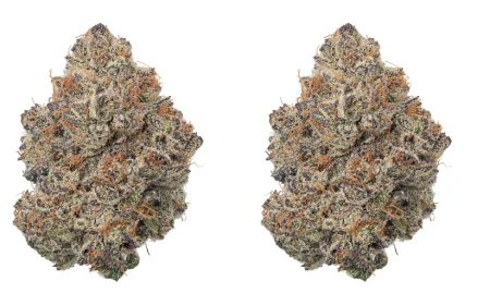 Finding High-Quality Budget THCa Flower in 2026