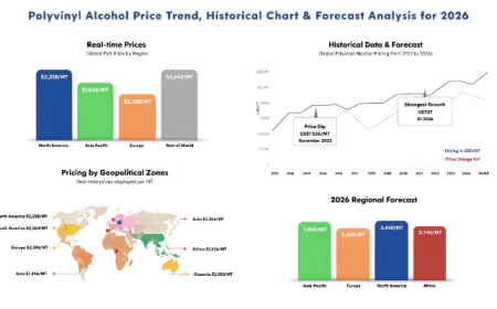 PVA Historical Price Chart 2026: Price Trend, Data and Outlook