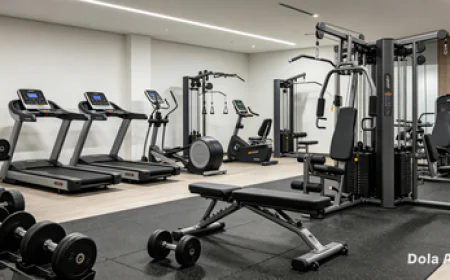 Gym Equipment for Home and Commercial Gyms: Prices, Types, and Buying Guide in Bangladesh