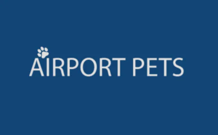 A Complete Guide to Air NZ Pet Transport and Safe Pet Travel in New Zealand