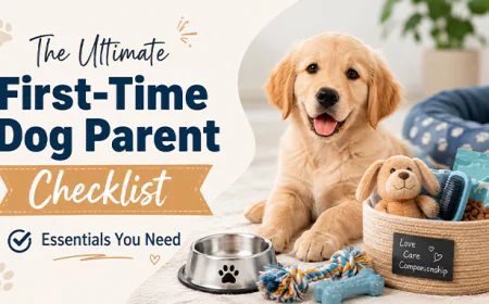 The Ultimate First-Time Dog Parent Checklist: Essentials You Need