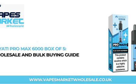 Hayati Pro Max 6000 Box of 5: Wholesale and Bulk Buying Guide