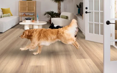 Which Flooring Is Best for Homes with Pets? | Carpet and Flooring Contractor Westford MA
