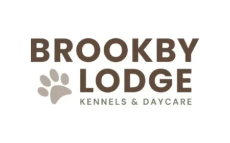 Puppy Daycare, Dog Care Near Me, Dog Day Care Center and Dog Kennels NZ