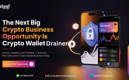 The Next Big Crypto Business Opportunity Is Crypto Wallet Drainer